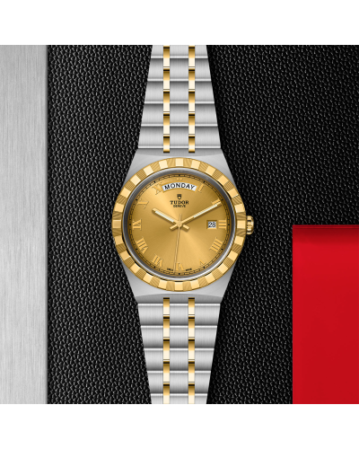 Tudor Royal 41 mm steel case, Yellow gold bezel (watches)